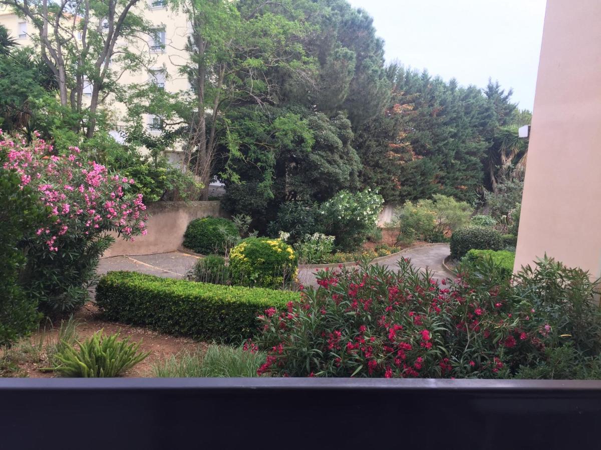 Studio Cabine,4 Personnes ,Renove,Au Calme,200 M De La Plage,Parking Prive Sète Esterno foto